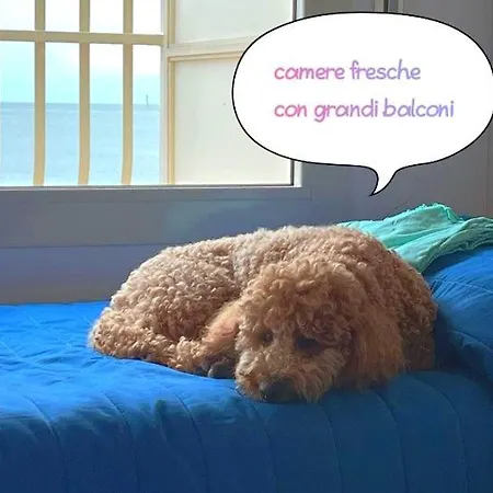 Buenos Aires Hotel Cervia