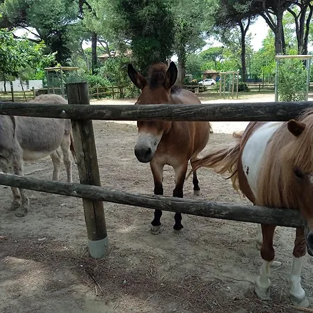 ホテル Buenos Aires 3*